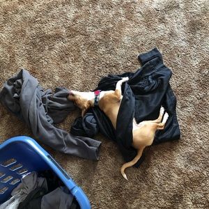 Meet your Posher, Dan